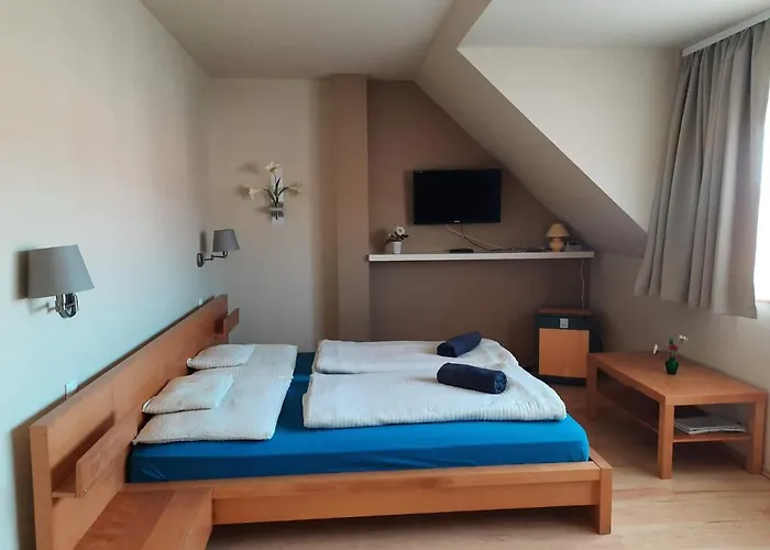 بيت ضيافة Sporthaz